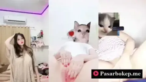 Bokep Indo Chellmey Colmek Meki Pinknya Bikin Pengen Coli Terus