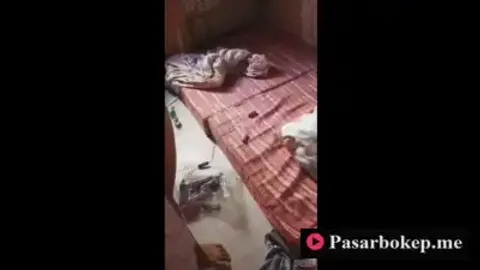 Bokep Indo Kamar Pacar